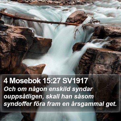 4 Mosebok 15:27 SV1917 Bible Verse Image