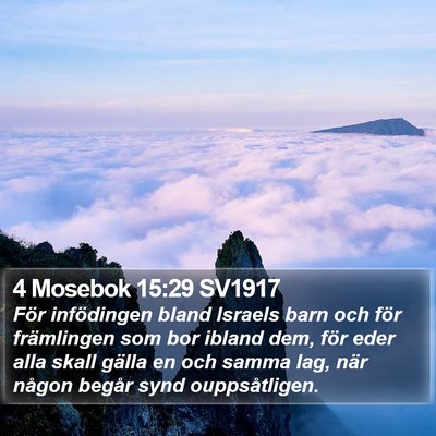 4 Mosebok 15:29 SV1917 Bible Verse Image