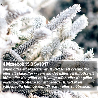 4 Mosebok 15:3 SV1917 Bible Verse Image