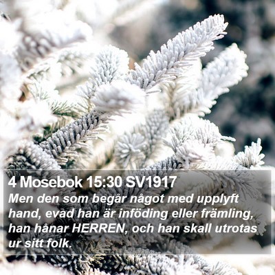 4 Mosebok 15:30 SV1917 Bible Verse Image