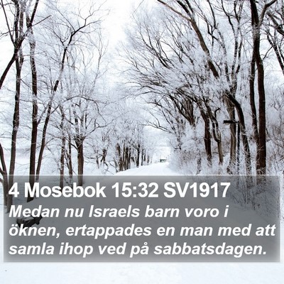 4 Mosebok 15:32 SV1917 Bible Verse Image