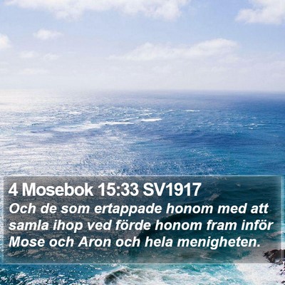 4 Mosebok 15:33 SV1917 Bible Verse Image