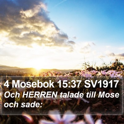 4 Mosebok 15:37 SV1917 Bible Verse Image