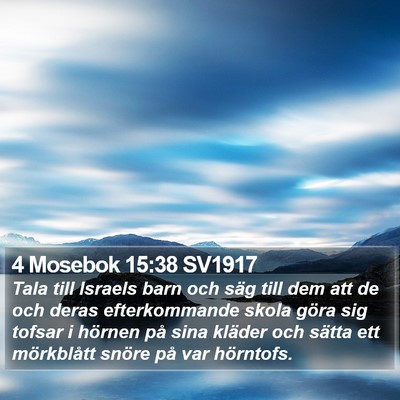 4 Mosebok 15:38 SV1917 Bible Verse Image