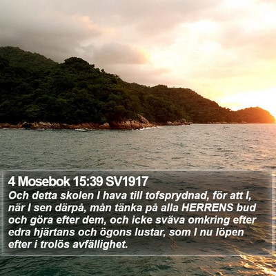 4 Mosebok 15:39 SV1917 Bible Verse Image