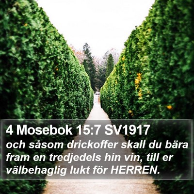 4 Mosebok 15:7 SV1917 Bible Verse Image
