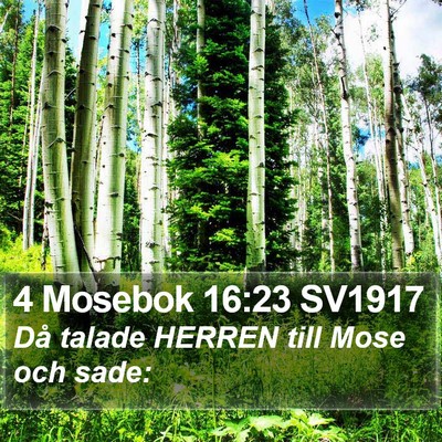 4 Mosebok 16:23 SV1917 Bible Verse Image