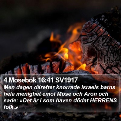 4 Mosebok 16:41 SV1917 Bible Verse Image