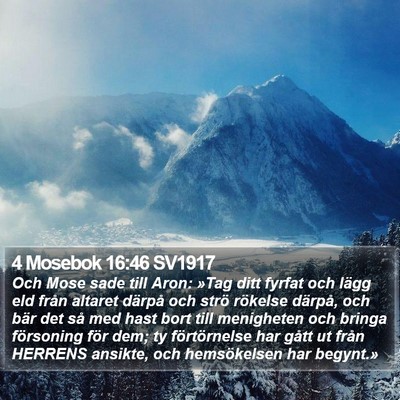 4 Mosebok 16:46 SV1917 Bible Verse Image