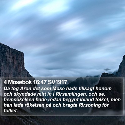 4 Mosebok 16:47 SV1917 Bible Verse Image
