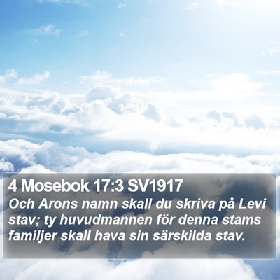 4 Mosebok 17:3 SV1917 Bible Verse Image