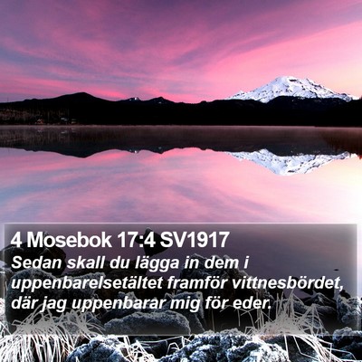 4 Mosebok 17:4 SV1917 Bible Verse Image