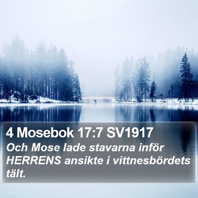 4 Mosebok 17:7 SV1917 Bible Verse Image