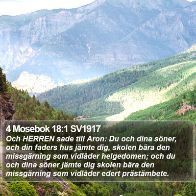 4 Mosebok 18:1 SV1917 Bible Verse Image