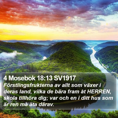 4 Mosebok 18:13 SV1917 Bible Verse Image