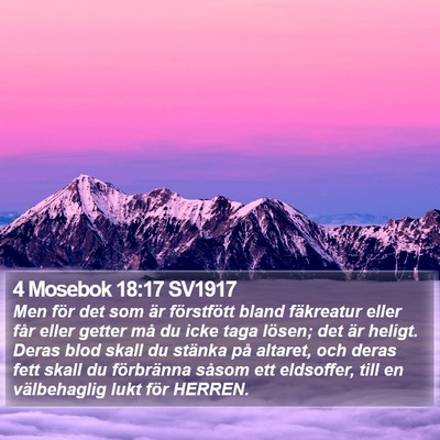 4 Mosebok 18:17 SV1917 Bible Verse Image