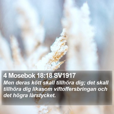 4 Mosebok 18:18 SV1917 Bible Verse Image
