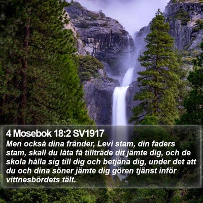 4 Mosebok 18:2 SV1917 Bible Verse Image