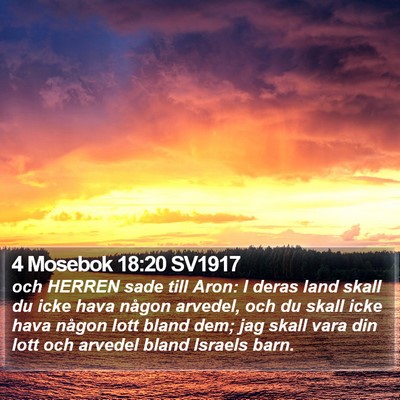 4 Mosebok 18:20 SV1917 Bible Verse Image