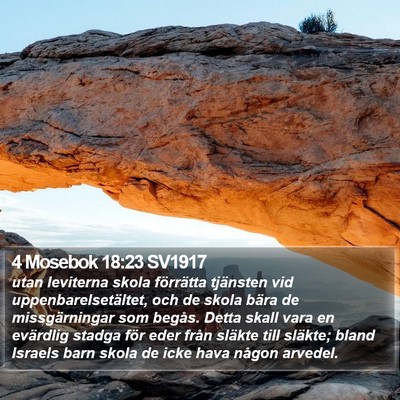4 Mosebok 18:23 SV1917 Bible Verse Image