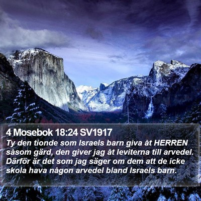 4 Mosebok 18:24 SV1917 Bible Verse Image