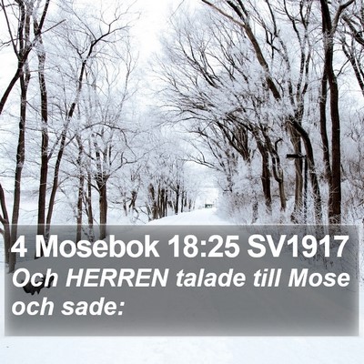 4 Mosebok 18:25 SV1917 Bible Verse Image