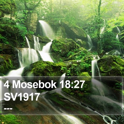 4 Mosebok 18:27 SV1917 Bible Verse Image