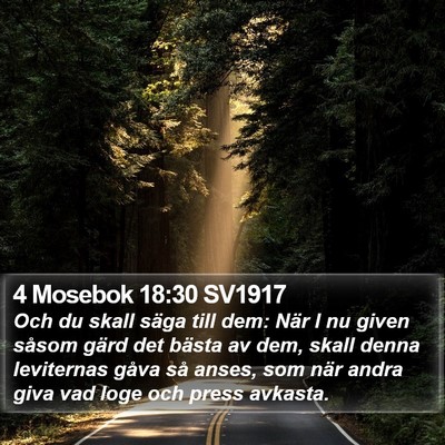 4 Mosebok 18:30 SV1917 Bible Verse Image