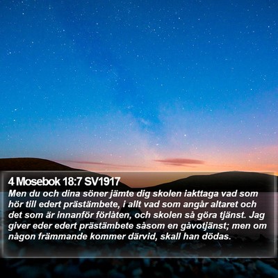 4 Mosebok 18:7 SV1917 Bible Verse Image