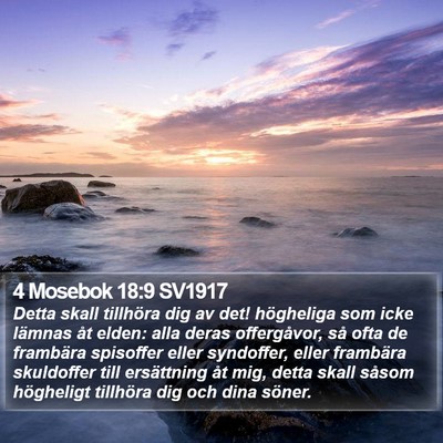 4 Mosebok 18:9 SV1917 Bible Verse Image