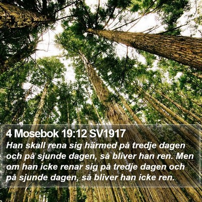 4 Mosebok 19:12 SV1917 Bible Verse Image