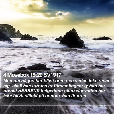 4 Mosebok 19:20 SV1917 Bible Verse Image