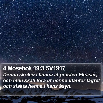 4 Mosebok 19:3 SV1917 Bible Verse Image