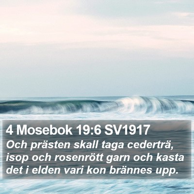 4 Mosebok 19:6 SV1917 Bible Verse Image