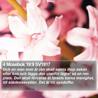 4 Mosebok 19:9 SV1917 Bible Verse Image