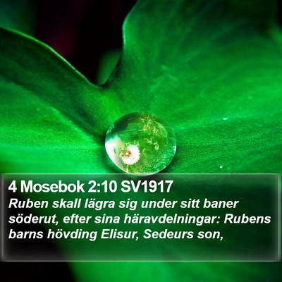 4 Mosebok 2:10 SV1917 Bible Verse Image