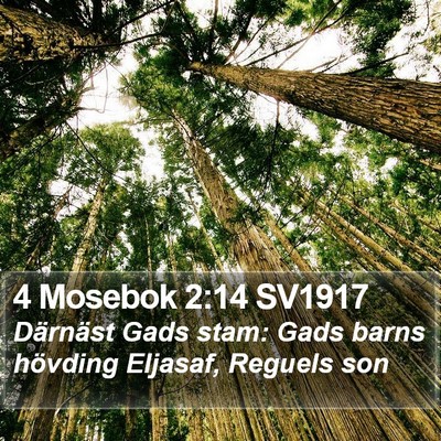 4 Mosebok 2:14 SV1917 Bible Verse Image