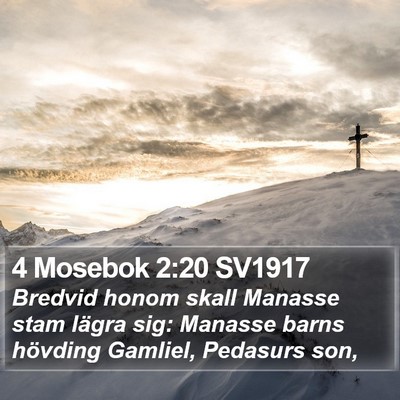 4 Mosebok 2:20 SV1917 Bible Verse Image