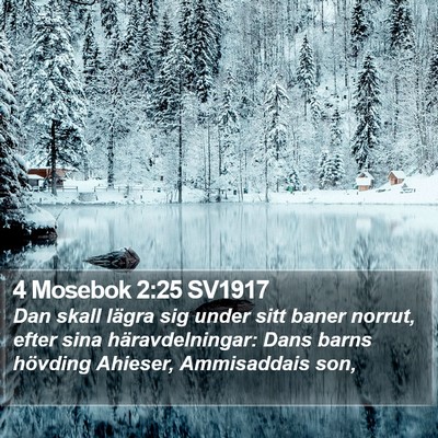 4 Mosebok 2:25 SV1917 Bible Verse Image