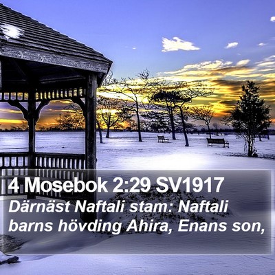 4 Mosebok 2:29 SV1917 Bible Verse Image