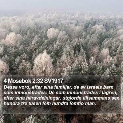 4 Mosebok 2:32 SV1917 Bible Verse Image