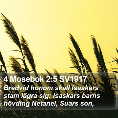 4 Mosebok 2:5 SV1917 Bible Verse Image