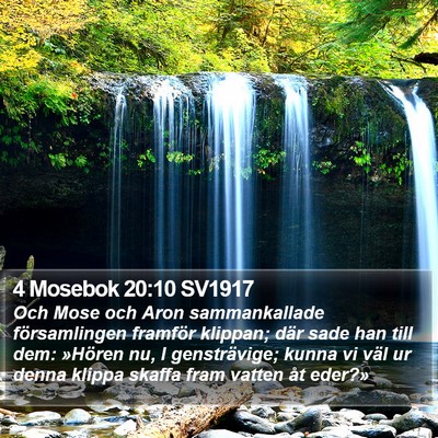 4 Mosebok 20:10 SV1917 Bible Verse Image