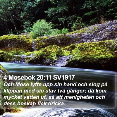 4 Mosebok 20:11 SV1917 Bible Verse Image