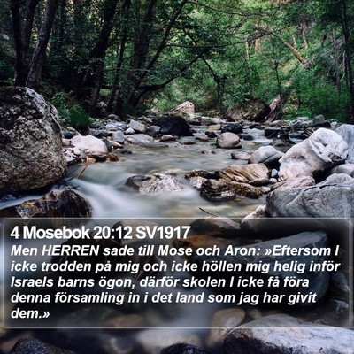 4 Mosebok 20:12 SV1917 Bible Verse Image
