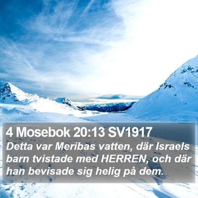 4 Mosebok 20:13 SV1917 Bible Verse Image