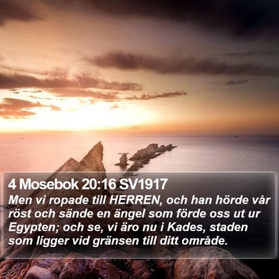 4 Mosebok 20:16 SV1917 Bible Verse Image