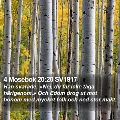 4 Mosebok 20:20 SV1917 Bible Verse Image