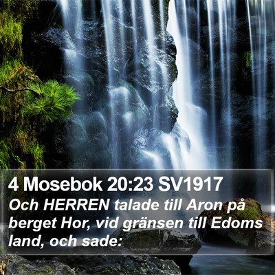 4 Mosebok 20:23 SV1917 Bible Verse Image