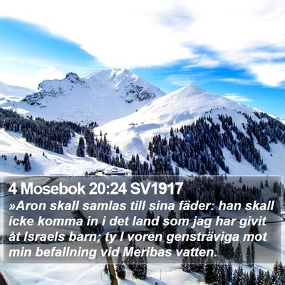 4 Mosebok 20:24 SV1917 Bible Verse Image